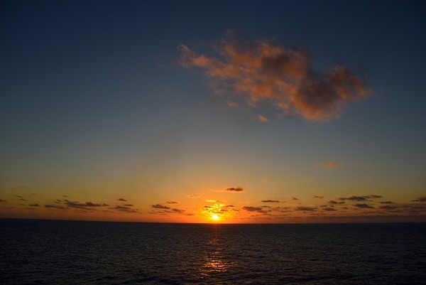 DSC_1910