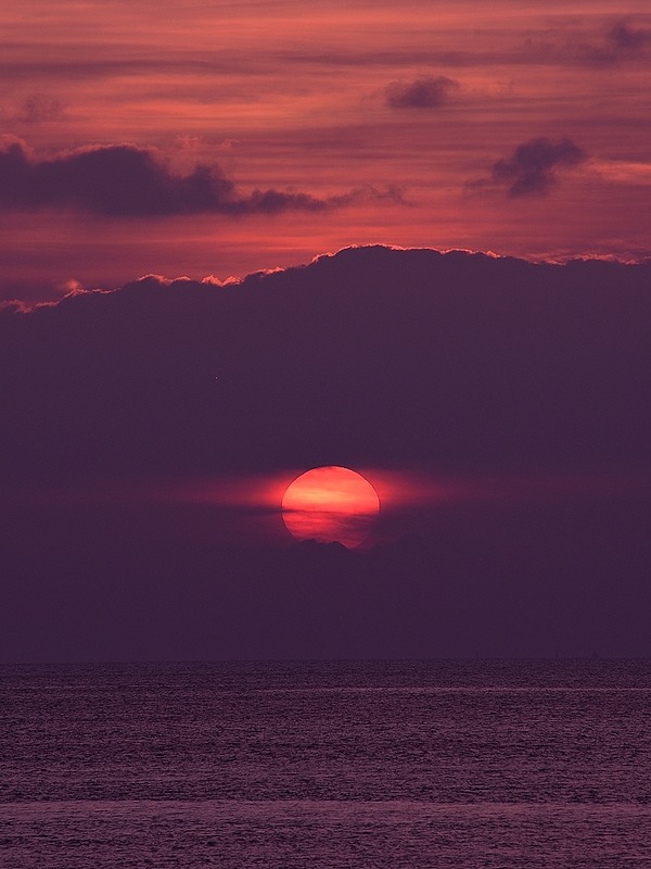 DSC_4881