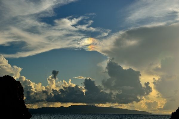 DSC_3101