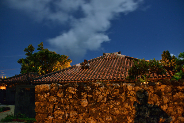 DSC_1193
