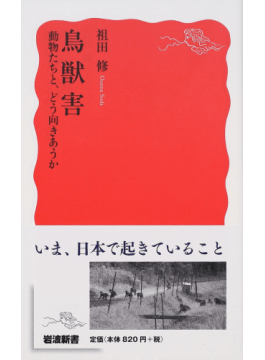 捕鯨問題 隗より始めよ 三浦淳のブログ 捕鯨問題 隗より始めよ 三浦淳のブログ