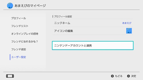 「Nintendo Switch Lite」 (5)