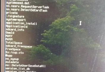 【速報】ニンテンドースイッチのハックに進展、システムモジュールのアクセスに成功