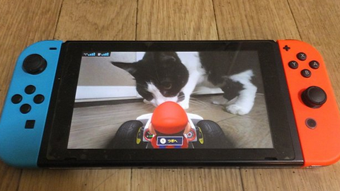 注意 マリオカートライブホームサーキット をご購入されるお客様へのご注意 任天党 にんてんとう 注意 マリオカートライブホームサーキット をご購入されるお客様へのご注意 任天党 にんてんとう