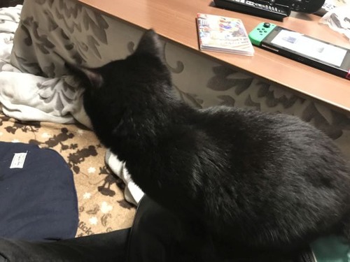 マリオオデッセイ (11)