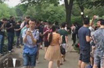 【悲報】ポケモンは公園に立入禁止？とある公園が『ポケモンGO』AR配置に「許可料」を請求