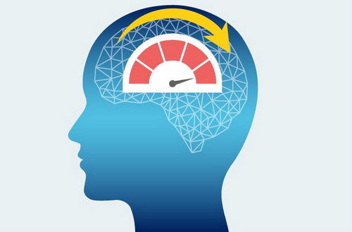 ただの暇つぶしとは言わせない:脳のアンチエイジングに効く「攻めの趣味」