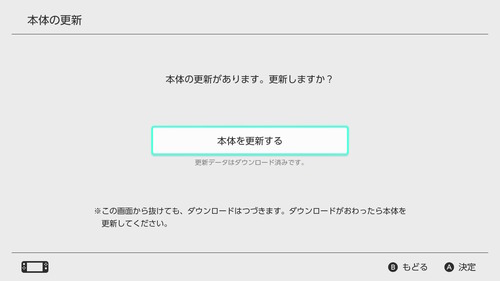 「Nintendo Switch Lite」 (3)