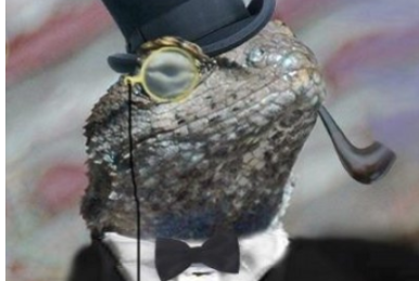 PSN、XboxLIVEを攻撃 サーバーを落としたハッカー集団「Lizard Squad」 新たにメンバー2人が逮捕 犯人は2人とも10代少年