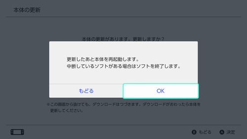 「Nintendo Switch Lite」 (4)
