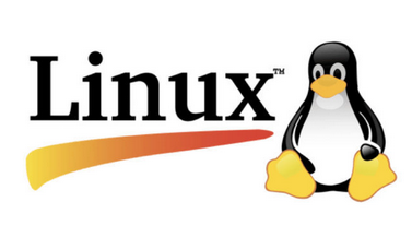 今、密かに起きている「Windows離れ」。“思ったより快適な移住先”とは「Linux」