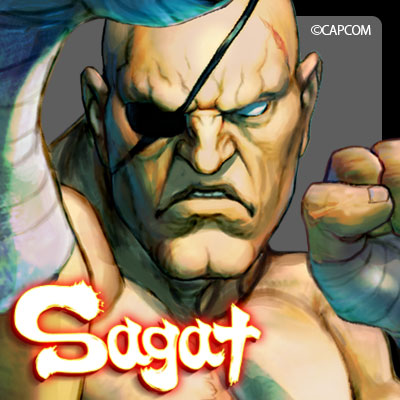 twitter_icon_sagat