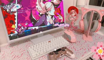 【朗報】9歳女児がゲーミングPCでゲームする時代