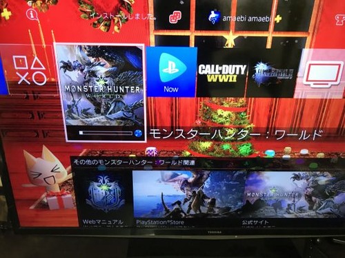 モンスターハンターワールド (11)