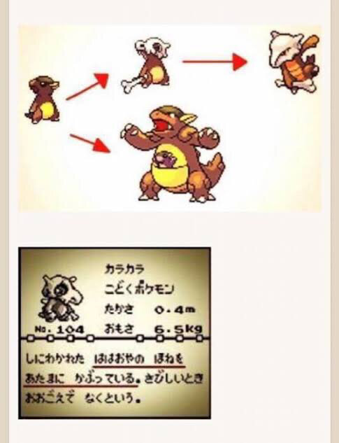 ポケモンのバタフリーとモルフォンが入れ替わった説ってマジだよな 任天党 にんてんとう