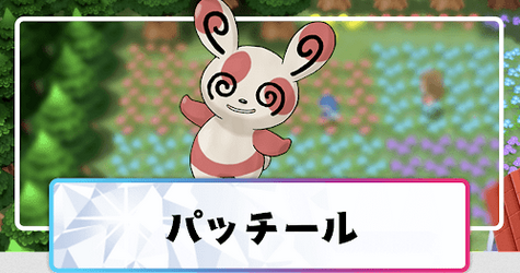 悲報 ダイパリメイクでパッチール ポケモンhomeに連れて行けない 任天党 にんてんとう