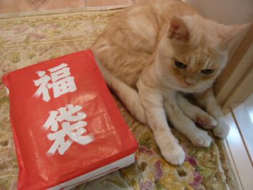 【画像】 DSの福袋買ったけど、これはさすがにひどい