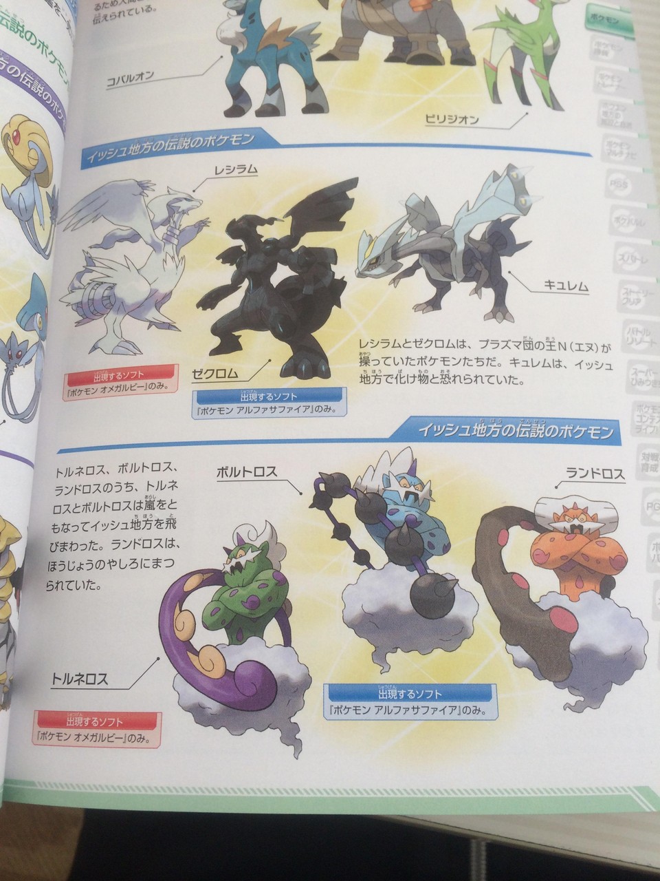 3ds ポケットモンスター オメガルビー アルファサファイア 攻略情報まとめ ボルトロスほか伝説ポケモン出現方法 めざめいし えび通 3ds ポケットモンスター オメガルビー アルファサファイア 攻略情報まとめ ボルトロスほか伝説ポケモン出現方法 めざめいし えび通