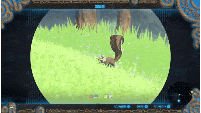 衝撃 ゼルダの伝説botw 野生のリスがドングリを食べる仕草が発見される えび通 衝撃 ゼルダの伝説botw 野生のリスがドングリを食べる仕草が発見される えび通