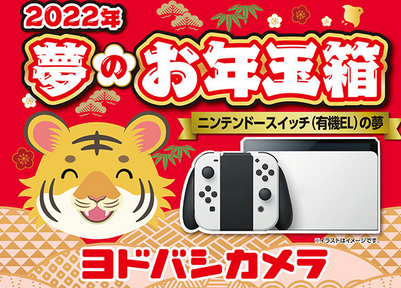 朗報 ヨドバシのswitch有機el福袋 再販きたぞｗｗｗｗ 任天党 にんてんとう
