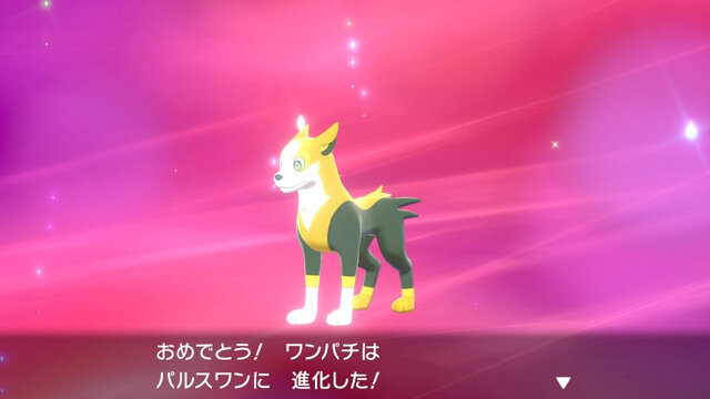 画像 今作で一番気になるポケモンwwww 任天党 にんてんとう 画像 今作で一番気になるポケモンwwww 任天党 にんてんとう