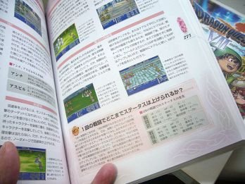 はじめから攻略サイトみてゲームするやつってなんなの？ 	