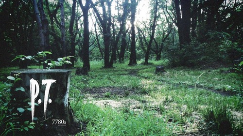 PS4のP.T.とかいう伝説のゲームｗｗｗｗ