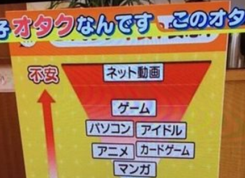 【悲報】テレビ「やばいオタクランキングがこちらですｗｗｗ」←ゲームが上位に