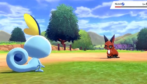 ゲオ ポケモンは幅広い年齢層のお客様に購入いただいています えび通 ゲオ ポケモンは幅広い年齢層のお客様に購入いただいています えび通