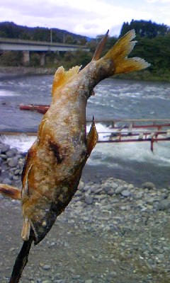 ひみつのアラシちゃんツアー In 日光 天然鮎の塩焼き編 嵐なヒトリゴト ひみつのアラシちゃんツアー In 日光 天然鮎の塩焼き編 嵐なヒトリゴト