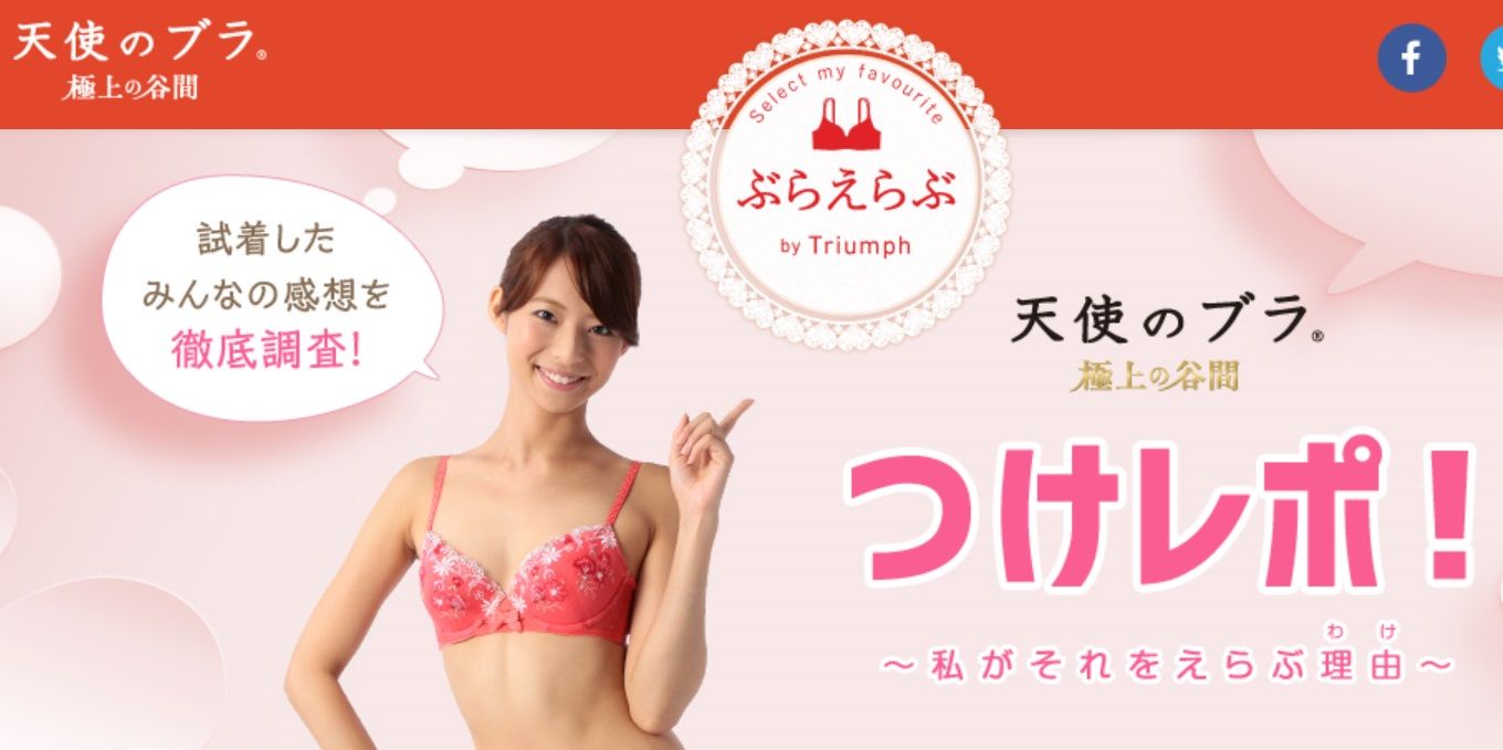 天使のブラ 極上の谷間 感想 僕の秘密のクローゼット My Secret Closet 天使のブラ 極上の谷間 感想 僕の秘密のクローゼット My Secret Closet