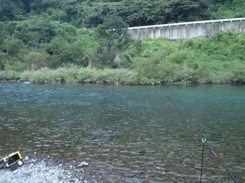 2012/9 勝浦川　鮎