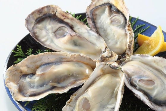 医師「牡蠣にあたる人とあたらない人の違いを解説します」