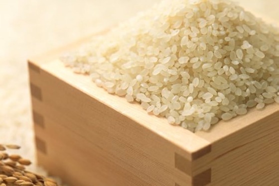 【悲報】農水省、米の減反政策を法定化へWWWWWWWWW