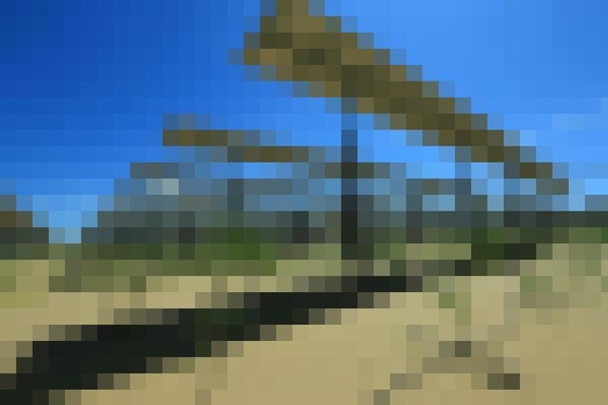 【画像】中国「砂漠にメガソーラーを敷き詰めます?」　→環境が大変なことになる