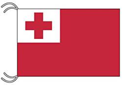 陰謀論者さん「トンガ噴火はCG映像」