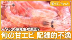 食い物 キウイ 雑魚 フルーツラテックス うそに関連した画像-01