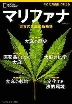 刑罰 大麻 法廷 否 刑事裁判に関連した画像-01