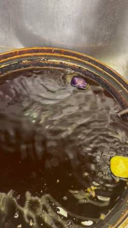 【動画】ナスの奇跡！泳ぐ野菜に笑いが止まらない