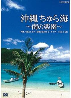 トカラ列島 経度 マグニチュード 緯度 震源地	トカラ列島近海に関連した画像-01