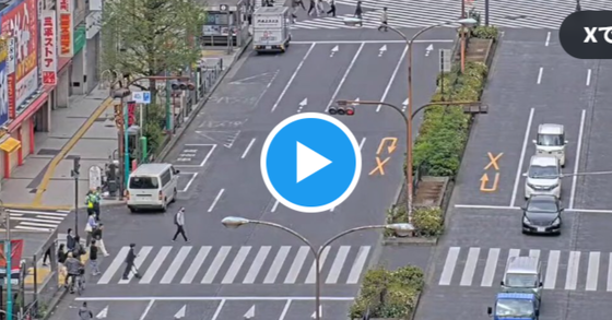 【動画】LUUP乗りさん、パトカーいるのに堂々と信号無視→そのまま捕まるとかいう芸術点高すぎるムーブｗｗｗ