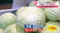 雑喉谷勝蔵社長 キャベツ きょう ワケ 記者に関連した画像-01