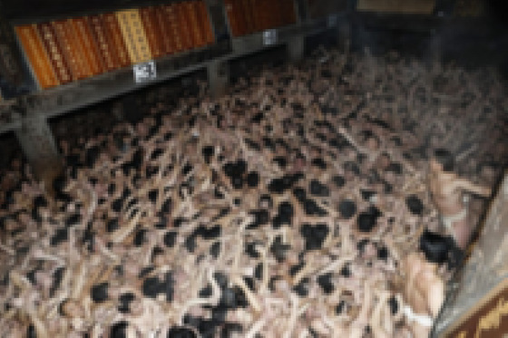 【悲報】岡山の裸祭り、悲惨なことになる