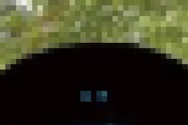 【速報】絶対に宇宙から来た鳥、見つかるwwwwww