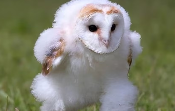 【速報】2025年の流行語大賞候補発表！