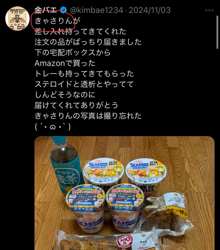 脳症 カタ キャサリン 文面 カタカナに関連した画像-06