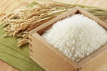 【悲報】米、史上最高値更新WWWWWWWWW