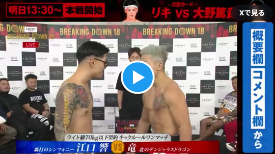 【悲報】ブレイキングダウン、終了