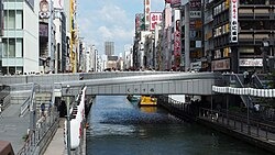 【画像】道頓堀に謎の魚が大量発生ｗｗｗｗｗｗｗｗｗｗｗｗｗｗｗｗｗｗｗｗｗｗ