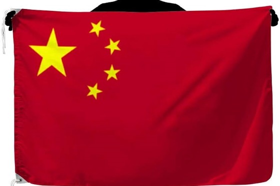 中国メディア「（高市早苗は）1年もてば上出来、2年続けば奇跡」　←単なる願望で草ｗｗｗｗｗｗ